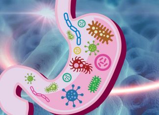 Researchers found molecules that purposefully remodel the gut microbiome and turn an unhealthful gut into a more healthful one