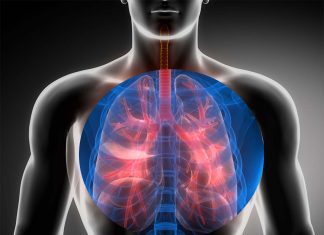 Researchers discovered a new way to stop harmful inflammation in the lungs due to sepsis and injury