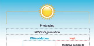 Researchers discovered the mechanism through which ultraviolet radiation damages our skin