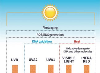 Researchers discovered the mechanism through which ultraviolet radiation damages our skin