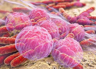 The vaginal microbiome is believed to protect women against Chlamydia trachomatis