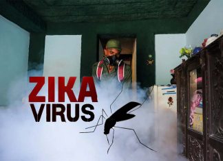 Cuba – unreported Zika outbreak in 2017 detected
