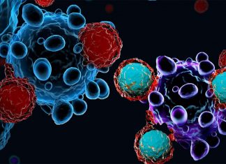 Cancer patients on immunotherapy fare worse if they have recently taken antibiotics