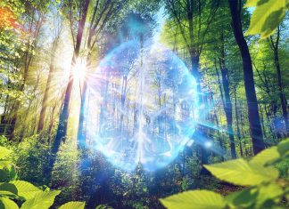 Exposure to nature has been shown to help improve depression and anxiety symptoms