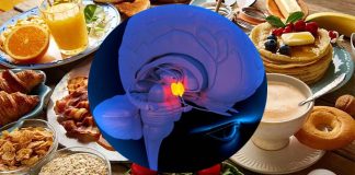 High-fat diets contribute to irregularities in the hypothalamus region of the brain