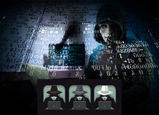 Study reveals differences in personality types and gender roles between teens who get into hacking