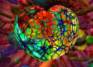 Microorganisms in the body may contribute to destabilisation of coronary plaques and subsequent heart attack