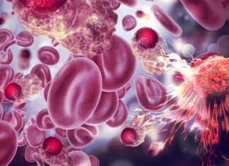 Migrating cancer cells decide which path in the body to travel based on how much energy it takes