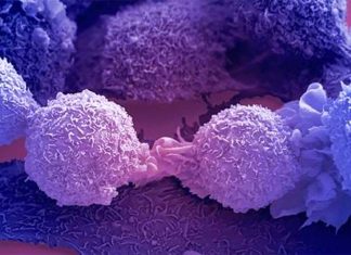 Scientists have developed a method to reactivate tumour suppressor genes