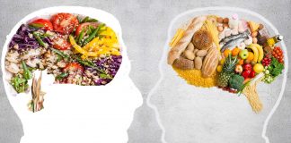 Plant-based and vegan diets risks worsening brain health nutrient deficiency