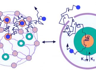 The narrow escape problem is a framework often applied in cellular biology