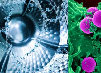 Washing machines are a reservoir of multidrug-resistant pathogens