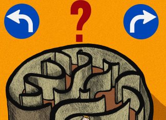 Our brains make decisions based on offer above and beyond other possible propositions