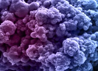 Cancer treatment could be dramatically improved by new imaging technology