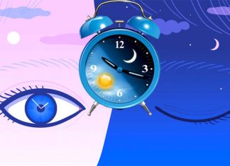 Researchers discovered that the function of a group of immune cells is directly controlled by the brain’s circadian clock