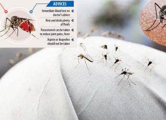Mosquitoes are more likely to acquire the dengue virus when they feed on blood with low levels of iron