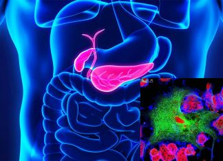 Researchers have found a new way of distinguishing cancerous from non-cancerous tissues