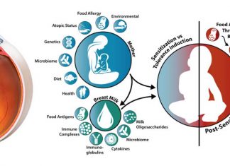 Certain drugs used to treat retinal diseases are excreted into breast milk