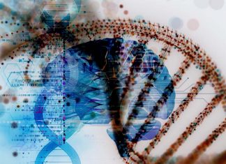 Some genetic variations may affect our health by altering how DNA coils and interacts in its 3-D shape