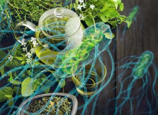 Green tea may help in the fight against antibiotic-resistant bacteria
