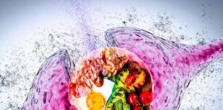 Alzheimer’s disease is associated with specific changes in gut bacteria – ketogenic Mediterranean diet can impact the development of dementia
