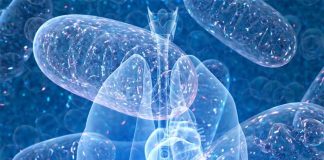 A new discovery about pancreatic cancer sheds light on how the cancer fuels its growth