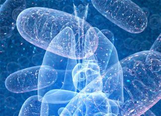 A new discovery about pancreatic cancer sheds light on how the cancer fuels its growth