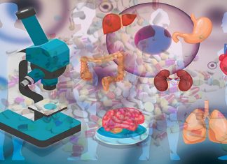 New strategy to predict potential clinical implications of new therapeutic compounds