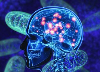 Scientists find potential treatment for Parkinson’s disease