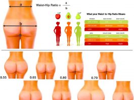 Why do males tend to consider women with a lower waist-hip ratio more attractive or sexy?