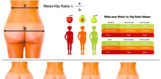 Why do males tend to consider women with a lower waist-hip ratio more attractive or sexy?