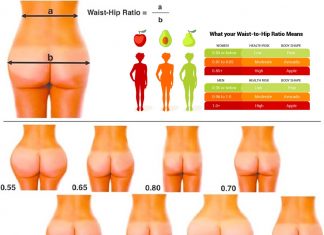 Why do males tend to consider women with a lower waist-hip ratio more attractive or sexy?