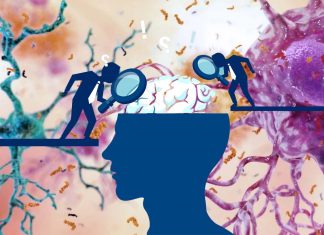 Alzheimer’s: how does the disease spread in the brain?
