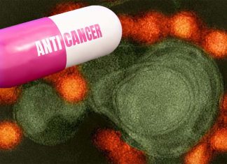 Anti-cancer drugs can be repurposed for the treatment of infections caused by a wide range of pathogens