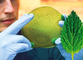 Artificial leaf uses only sunlight, carbon dioxide and water