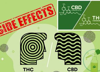 CBD blocks the psychiatric side-effects of THC