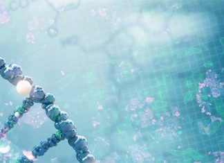 Researchers have developed a new cheap method that can identify highly heterogeneous tumors that tend to be very aggressive