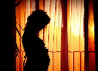 Chronic stress during pregnancy increases neuroinflammation