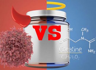 Creatine serves as a molecular battery for immune cells by storing and distributing energy to power their fight against cancer