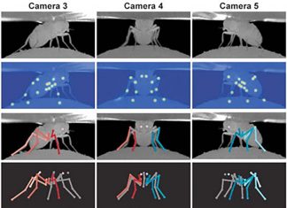 Deep3DFly : New robotic fly use AI