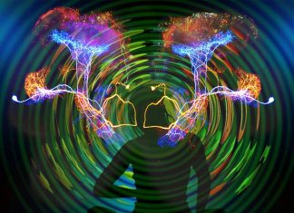 Entropy during consciousness is higher than during unconscious states