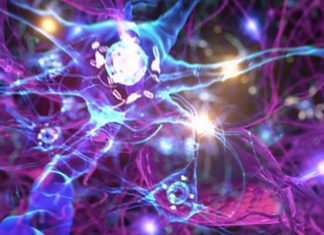 Higher intelligence it’s associate with higher temporal stability of brain network modularity