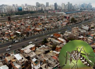 Low-income urban neighborhoods could transmit diseases