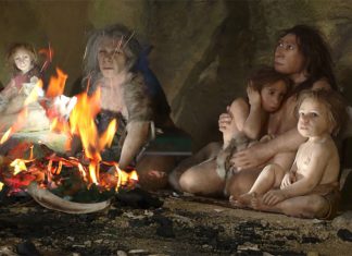 Study reveals Neanderthals were able to generate fire