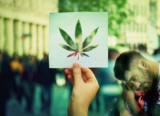 Parent’s use of marijuana, past or present, can influence their child’s substance use and well-being