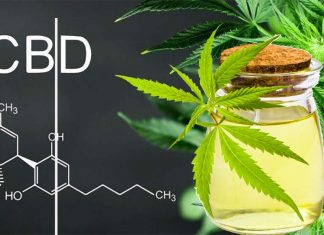 Peoples interest in CBD eclipses nearly all other health products or topics