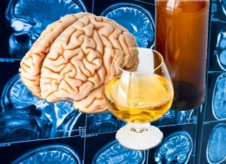 Reduced brain volume may represent a genetically-conferred predispositional risk factor for heavier alcohol consumption