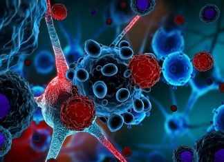 Researchers have now pinpointed the specific helper T cells that cause MS