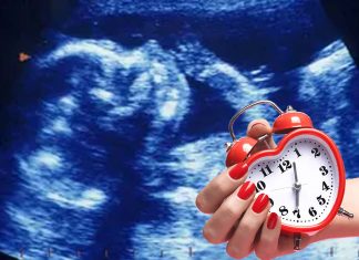 Women’s biological clock : chromosome errors influence fertility