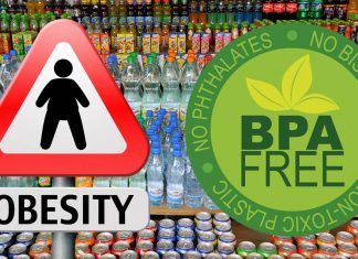 Exposure to BPAF increased lipid accumulation